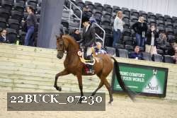22BUCK_07230 thumbnail