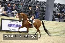22BUCK_07231 thumbnail