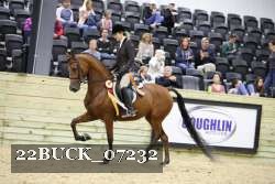 22BUCK_07232 thumbnail
