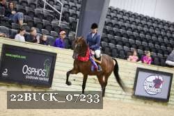 22BUCK_07233 thumbnail