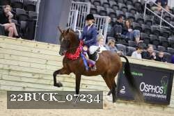 22BUCK_07234 thumbnail