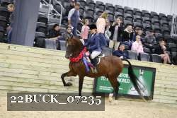 22BUCK_07235 thumbnail