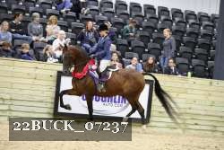 22BUCK_07237 thumbnail