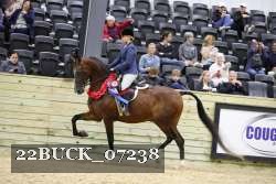 22BUCK_07238 thumbnail