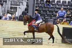 22BUCK_07239 thumbnail
