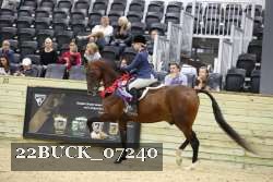 22BUCK_07240 thumbnail