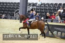 22BUCK_07241 thumbnail