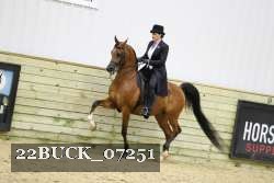 22BUCK_07251 thumbnail