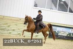 22BUCK_07261 thumbnail