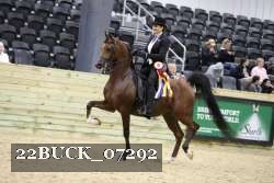 22BUCK_07292 thumbnail
