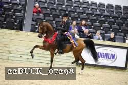 22BUCK_07298 thumbnail
