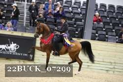 22BUCK_07299 thumbnail