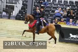 22BUCK_07300 thumbnail