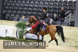 22BUCK_07301 thumbnail