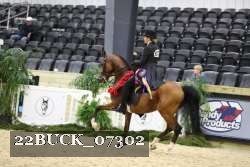 22BUCK_07302 thumbnail