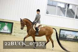 22BUCK_07353 thumbnail