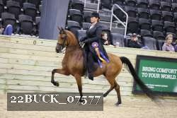 22BUCK_07577 thumbnail