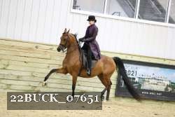 22BUCK_07651 thumbnail