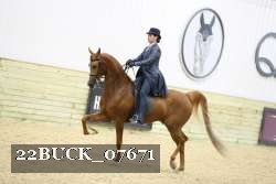 22BUCK_07671 thumbnail