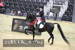 22BUCK_07764 thumbnail