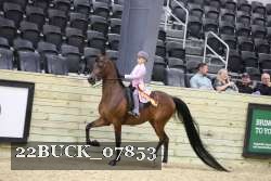 22BUCK_07853 thumbnail