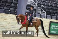 22BUCK_07963 thumbnail