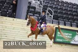 22BUCK_08107 thumbnail