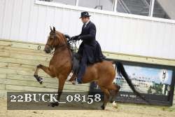 22BUCK_08158 thumbnail