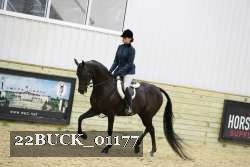 22BUCK_01177 thumbnail