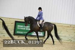 22BUCK_01197 thumbnail
