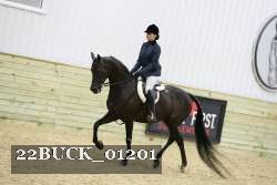 22BUCK_01201 thumbnail