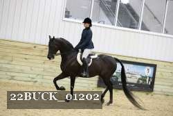 22BUCK_01202 thumbnail