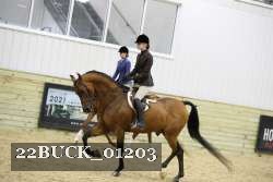 22BUCK_01203 thumbnail