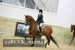 22BUCK_01204 thumbnail