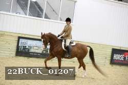 22BUCK_01207 thumbnail