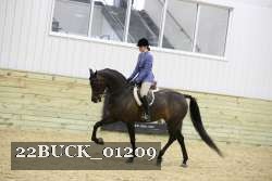 22BUCK_01209 thumbnail