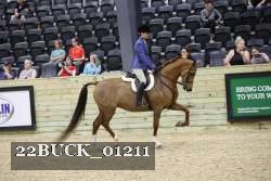 22BUCK_01211 thumbnail