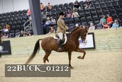 22BUCK_01212 thumbnail