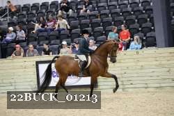 22BUCK_01213 thumbnail