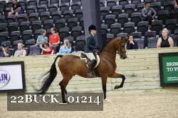 22BUCK_01214 thumbnail