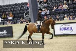 22BUCK_01215 thumbnail