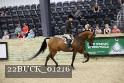 22BUCK_01216 thumbnail
