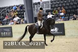 22BUCK_01217 thumbnail