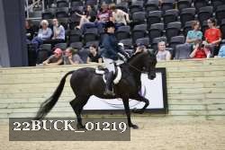 22BUCK_01219 thumbnail