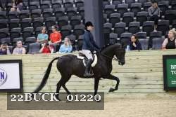 22BUCK_01220 thumbnail