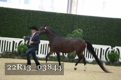 22R13_03844 thumbnail
