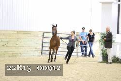 22R13_00912 thumbnail