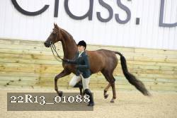 22R13_01088 thumbnail