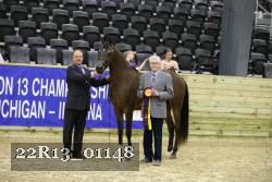 22R13_01148 thumbnail