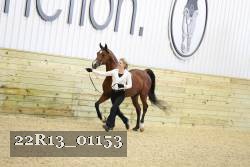 22R13_01153 thumbnail